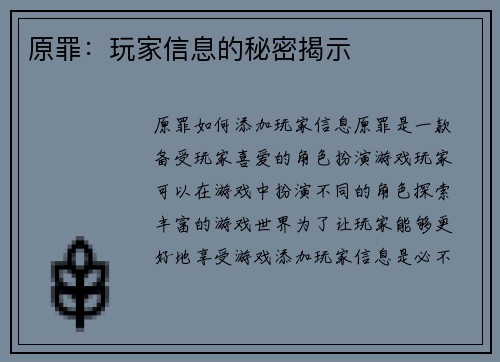 原罪：玩家信息的秘密揭示